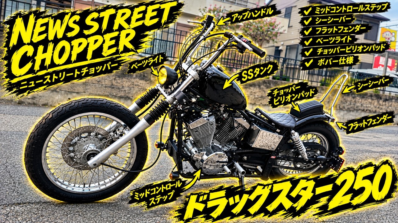 ドラッグスター250 ミッドコントロール シーシーバー フラット
