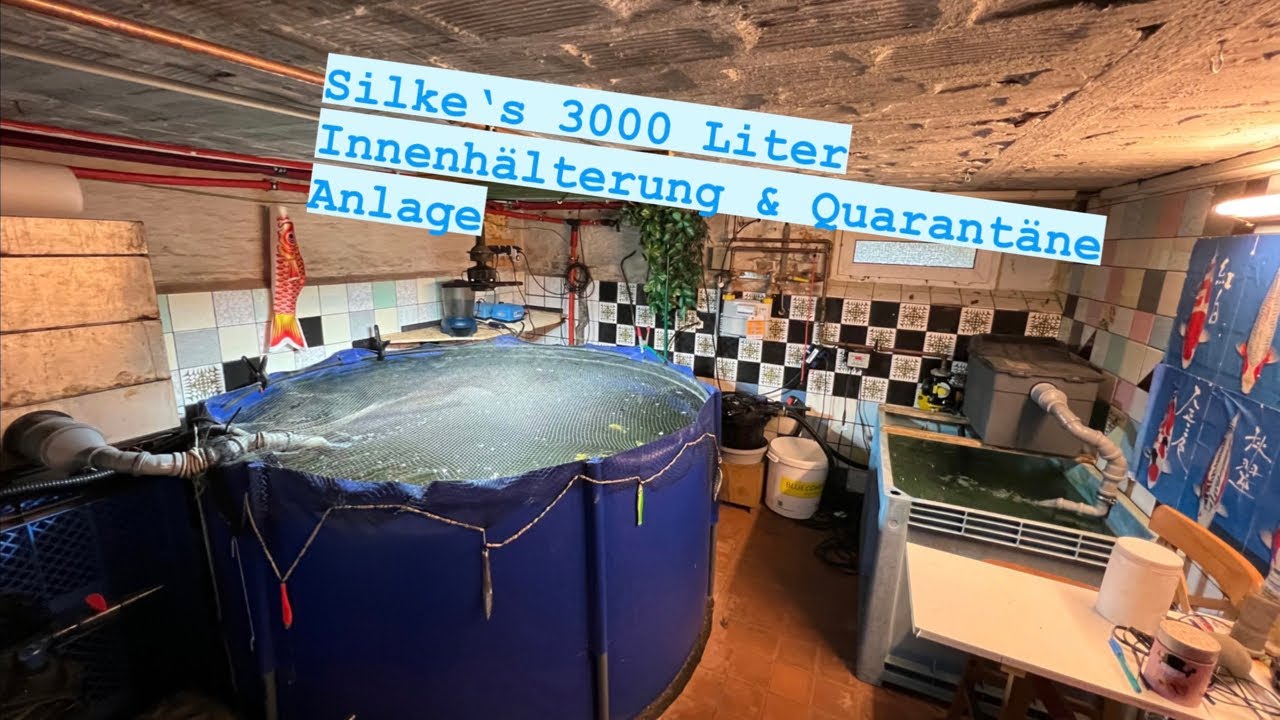 Silke‘s 3000 Liter Innenhälterung mit sehr niedrigem PH!