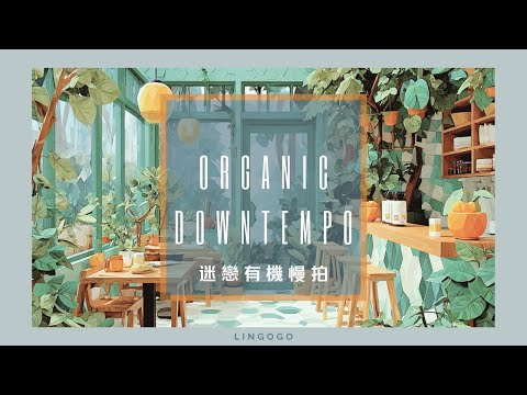 迷戀有機慢拍Organic Downtempo|適合閱讀、工作、放鬆、專注時聆聽的純音樂專輯||適合場景:咖啡廳、工作室||Relaxing Study Work Music|