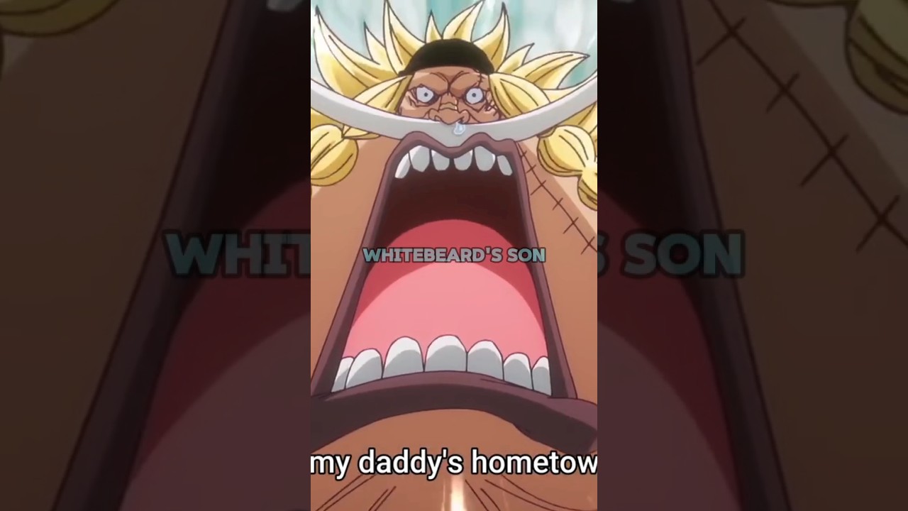 Is Edward Weevil ACTUALLY Whitebeard's Son? 