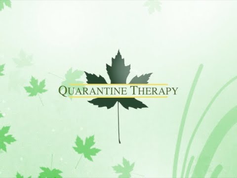 Quarantine Therapy for Students: Mental Health