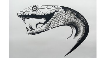 How To Draw A Snake - Cobra - Advanced