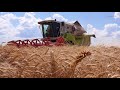 CLAAS Testimoniale fermieri 2017 - Combinatul Agroindustrial Curtici - jud.Arad