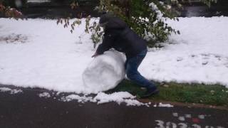 Обложка В моём городе вновь первый снег Скачать В моём городе вновь первый снег