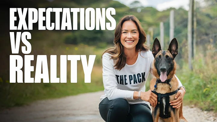 What You NEED to Know About Owning a BELGIAN MALINOIS!