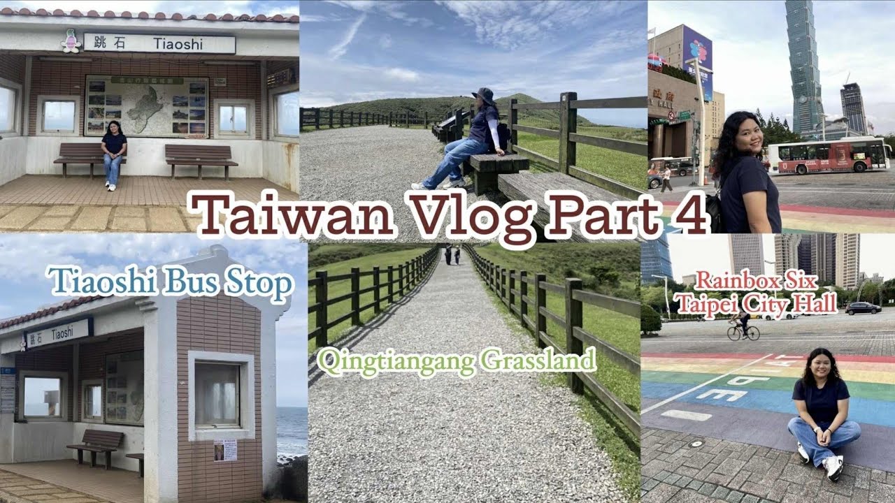 Taiwan Vlog Part 4 |Qingtiangang Grassland, Tiaoshi Bus Stop, Rainbow Crossing | Irishteru