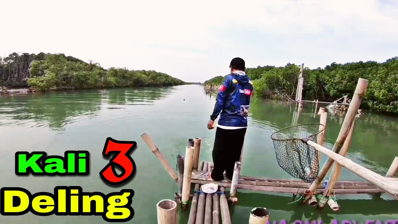 KUMPULAN MOMENT STRIKE DI RUMPON KALI 3 DELING || MANCING MANIA