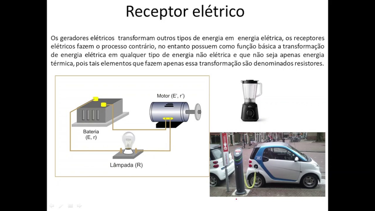A Respeito Dos Receptores Elétricos Marque A Alternativa Incorreta