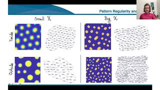 Chemotaxis impact on a Turing reaction-diffusion system