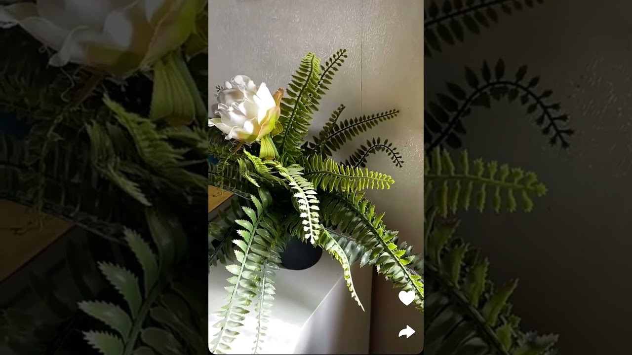 مجداء القحطاني.. تتكلم عن فضل الدعاء و اليقين بالاجابة