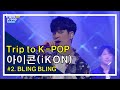 Trip to kpop ikon  bling blingkocca music 