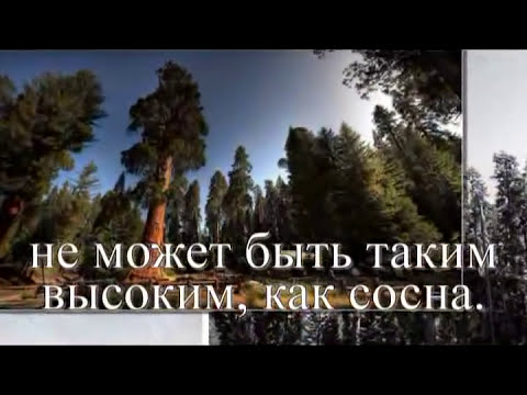 Принять себя