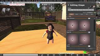 Second Life: Toddleedoo 4.1.0 Fix