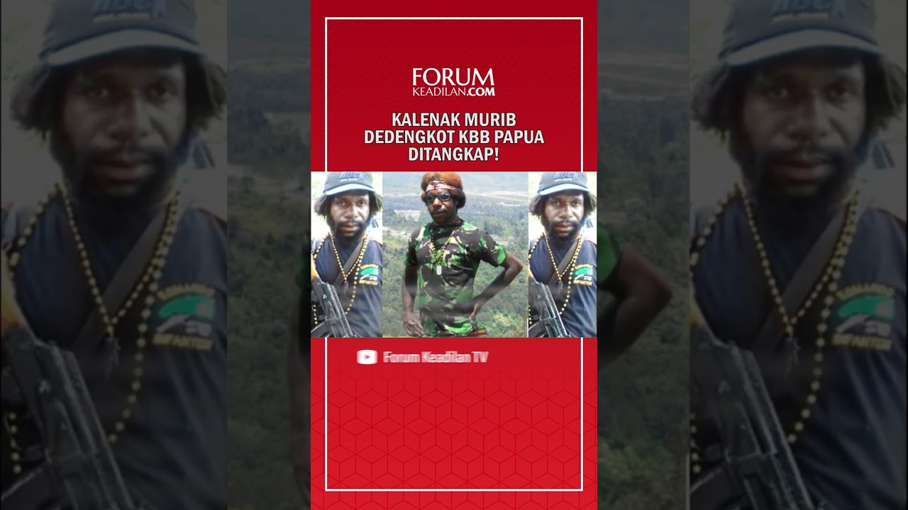 KALENAK MURIB DEDENGKOT KBB PAPUA DITANGKAP!