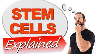 Stem Cells - Your Questions Answered