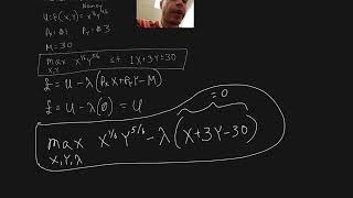 calculus pt. 2 constrained optimization