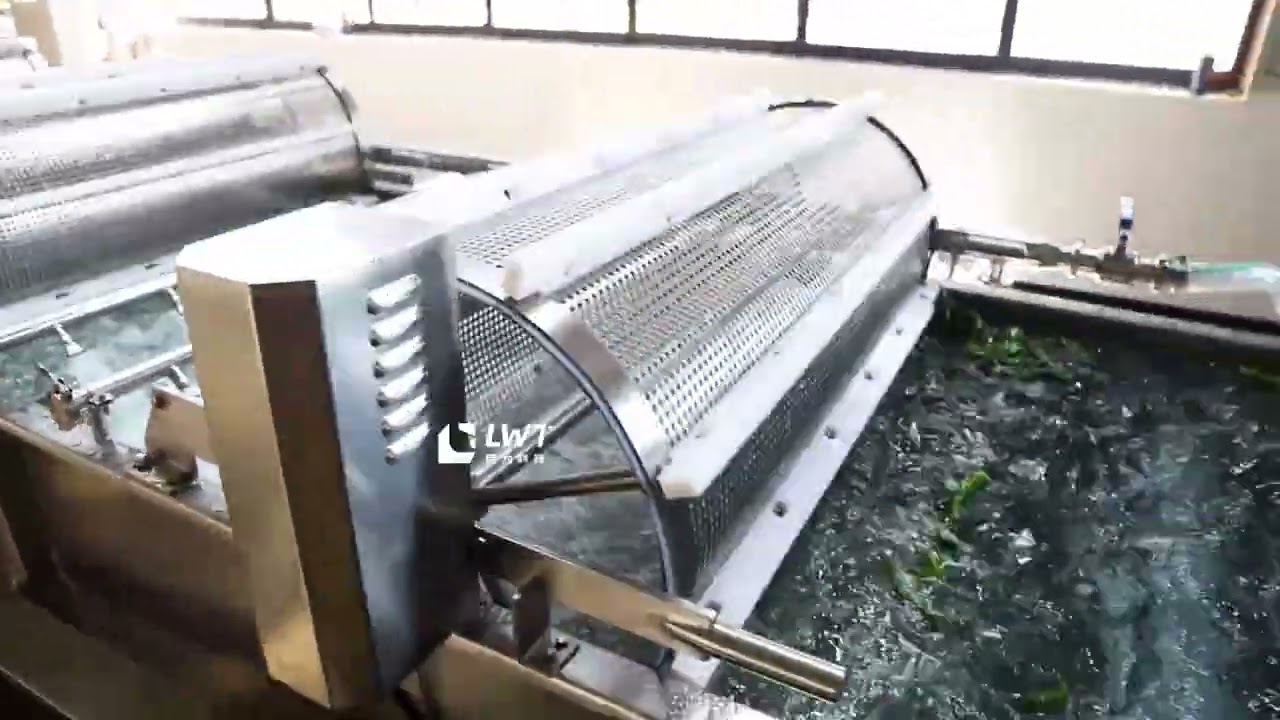 Automatic Pepper Vegetable Washing Machine CE