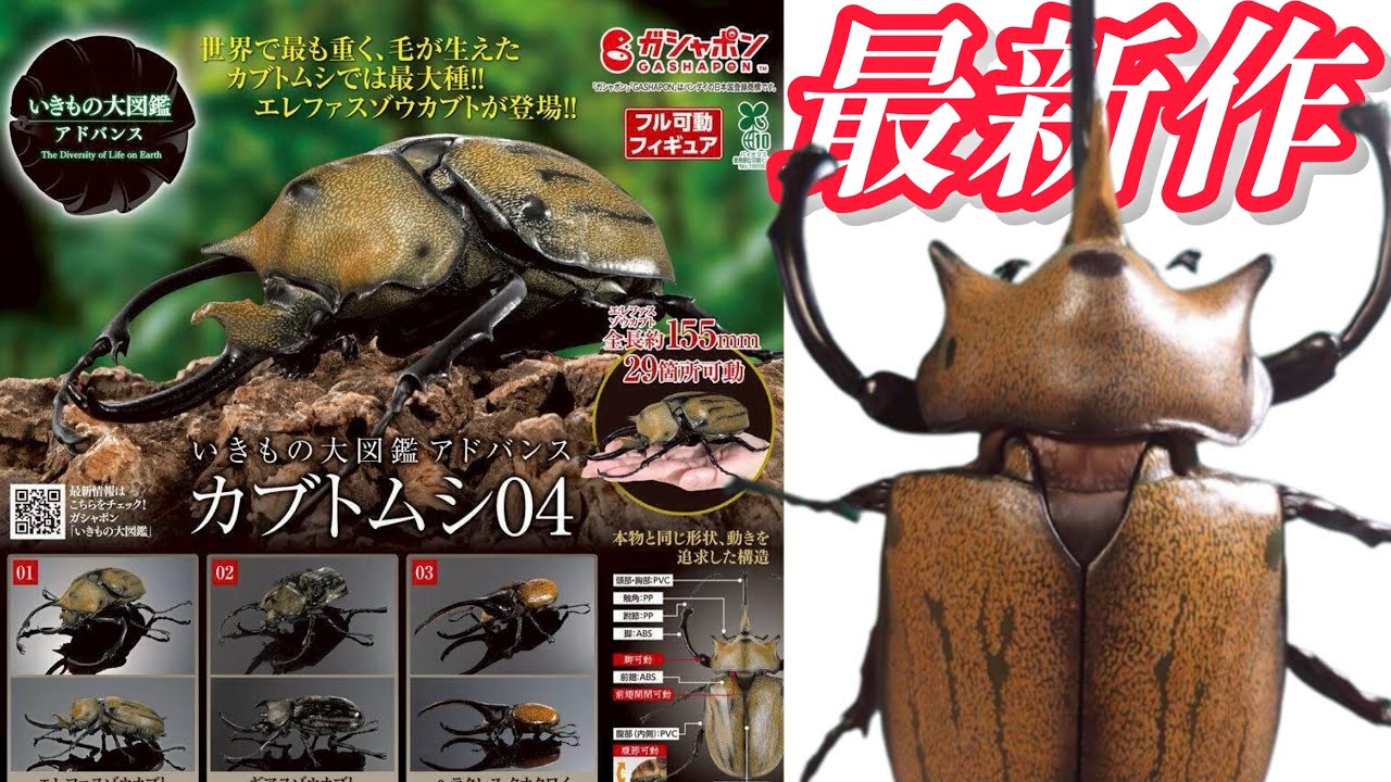 ガチャガチャ】いきもの大図鑑アドバンス『カブトムシ04』【最新作