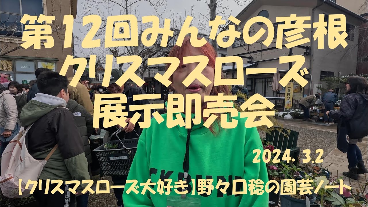 2024.3.2 第12回みんなの彦根クリスマスローズ展示即売会