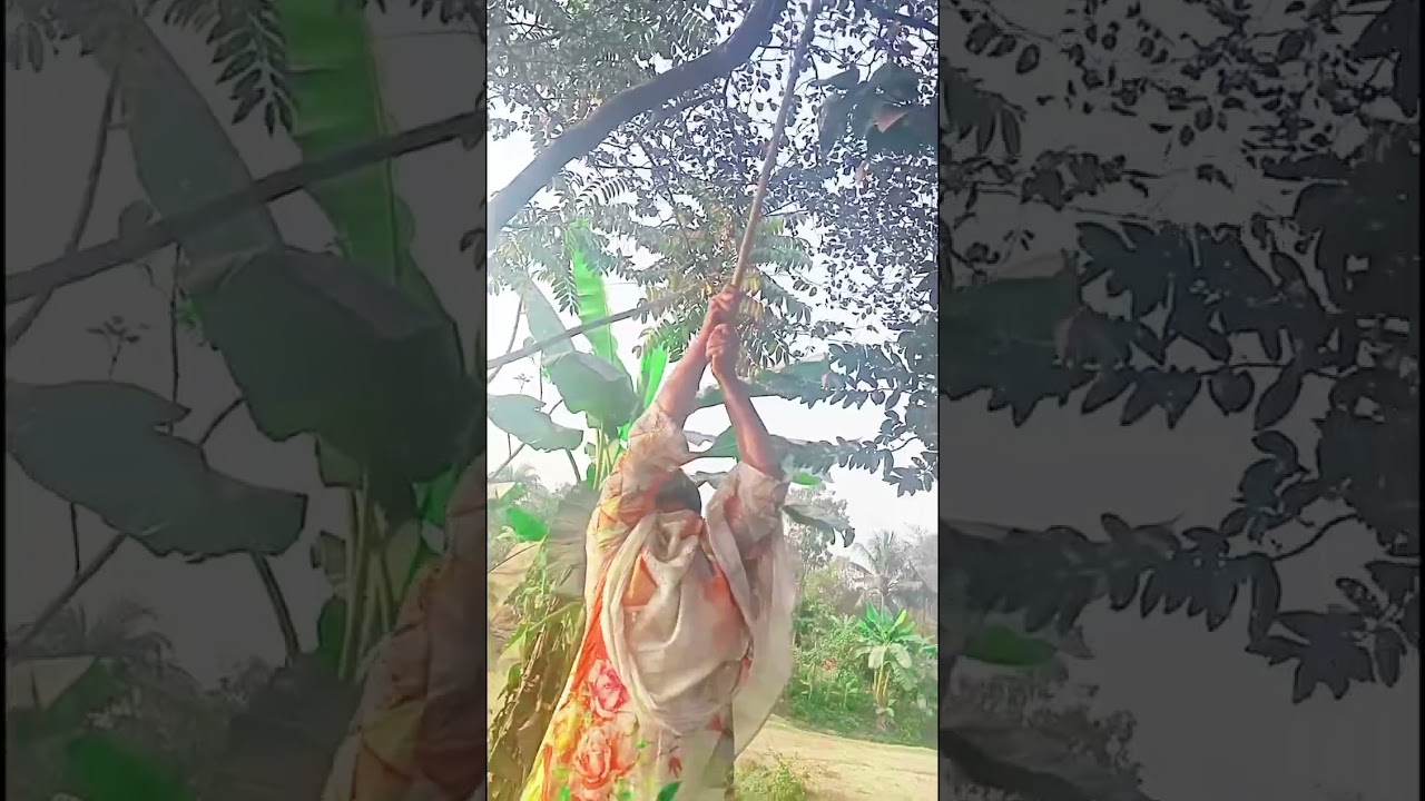 বিদেশ থেকে 