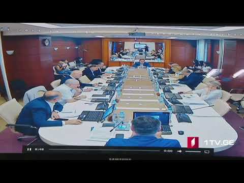 29.07.2019 მერაბ ლომიძე, გენადი მაკარიძე