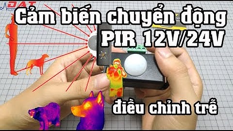 Công Tắc Cảm Biến Chuyển Động PIR 12V/24V 6A Điều Chỉnh Trễ | Điện tử DAT