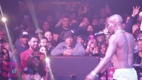 DMX - What These Bitches Want (LIVE at The Observatory)