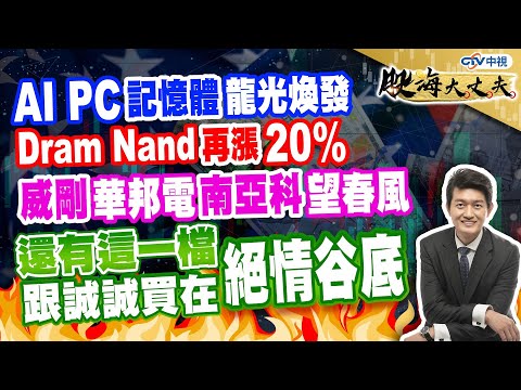 中視【股海大丈夫】20240313 #陳建誠：提前警告AI族群 千萬別追在華山之巔 DRAM Nand 再漲20% 威剛 華邦電 南亞科還能望春風 這一檔 記得跟誠誠買在絕情谷底 #永誠國際投顧