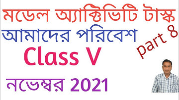 Activity task class 5 Amader poribesh part 8