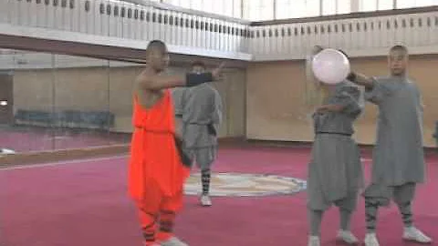wang zi li shaolin temple