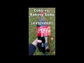 EXPERIMENT: Coke and Baking Soda Explosion! (Satisfying)