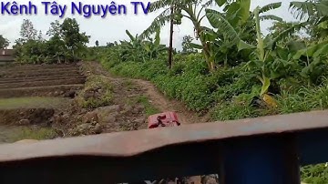 Xe công nông 2 câu lên dốc cực khỏe