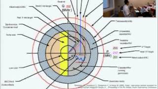 Famous VASS 2012 - William Wong - Representation Design for Visual Analytics Profile