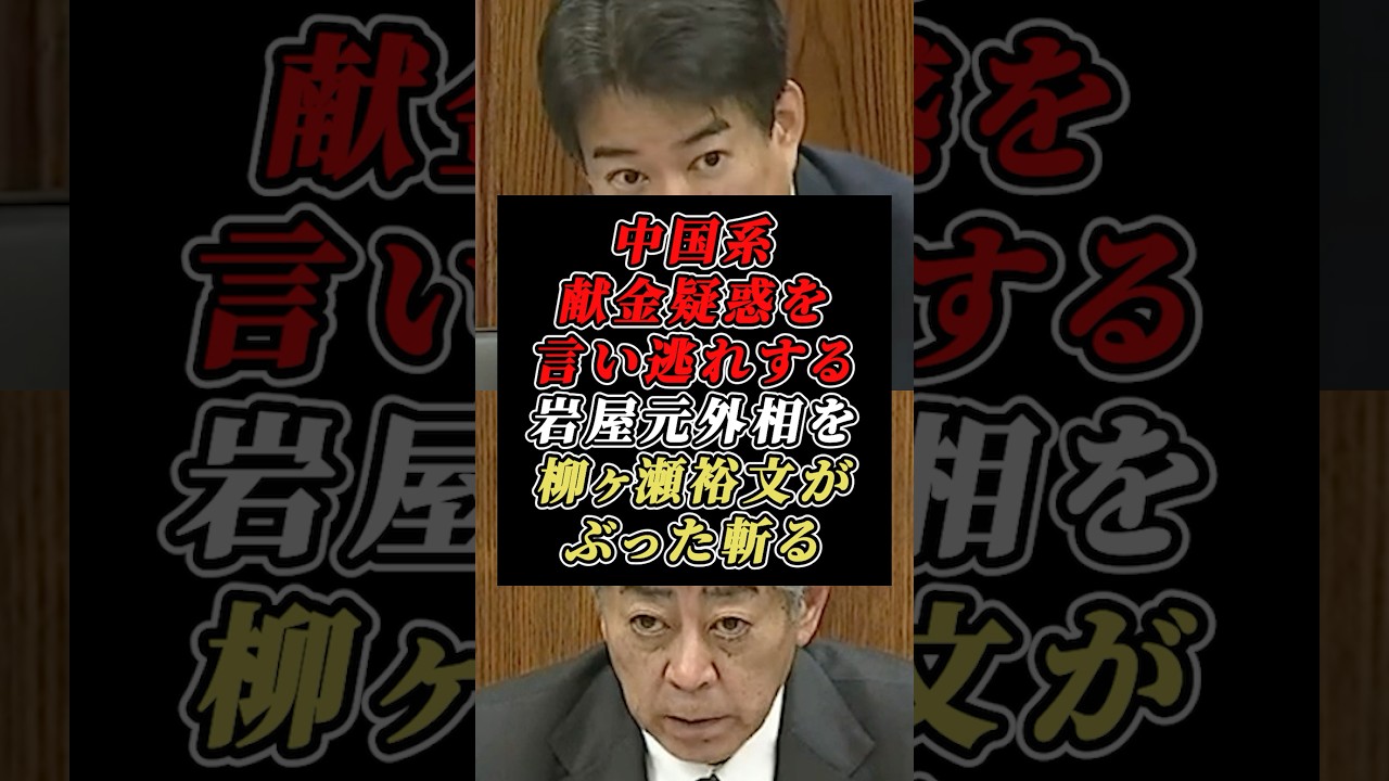 「バレてますよ」外国人パーティー券発言をごまかす岩屋元外相を柳ヶ瀬裕文議員が一刀両断 #自民党 #参議院議員