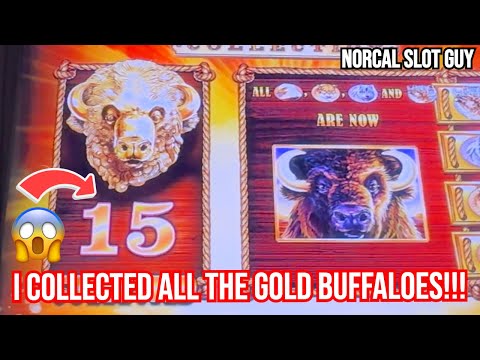 I HIT MY FIRST 2026 HAND PAY ON BUFFALO GOLD @ Cache Creek Casino | NorCal Slot Guy