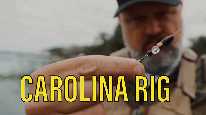 SUMMER Fishing DEEP WATER | The Carolina Rig