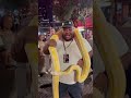 Spirit vs Python