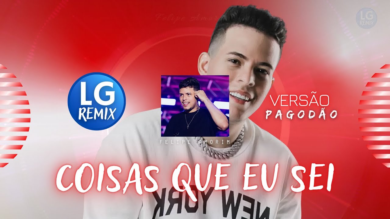 Coisas Que Eu Sei (Remix) 