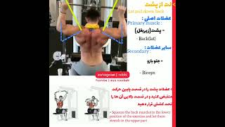 آموزش حرکت لت از پشت - lat pull down back