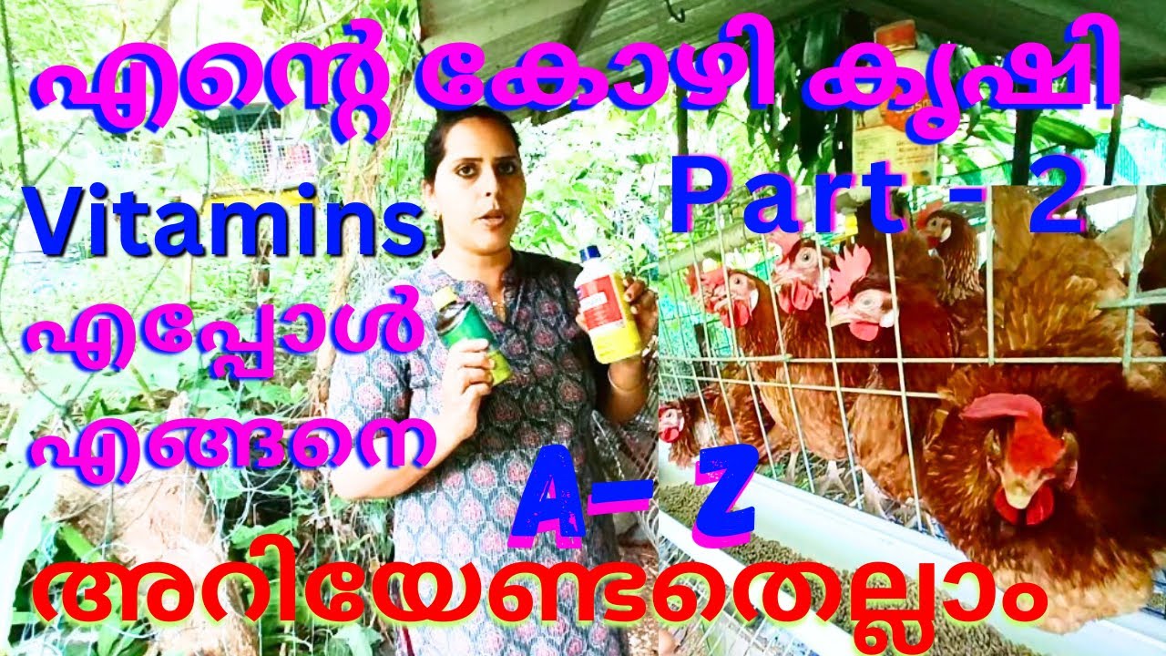 ഞാൻ കൊടുക്കുന്ന വിറ്റാമിനുകൾ| വിറ്റാമിനുകൾ എങ്ങനെ കൊടുക്കണം|