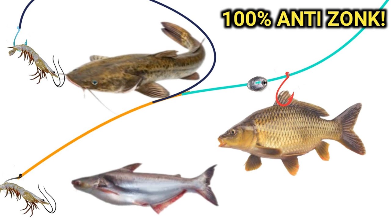 Cara Rakit 3 mata kail GALATAMA posisi timah normal // how to tie a triple hook rig