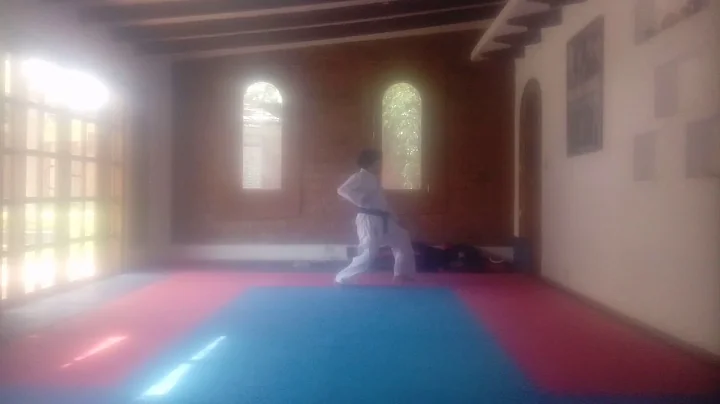 SALO LANGBERG kihon kata ichi