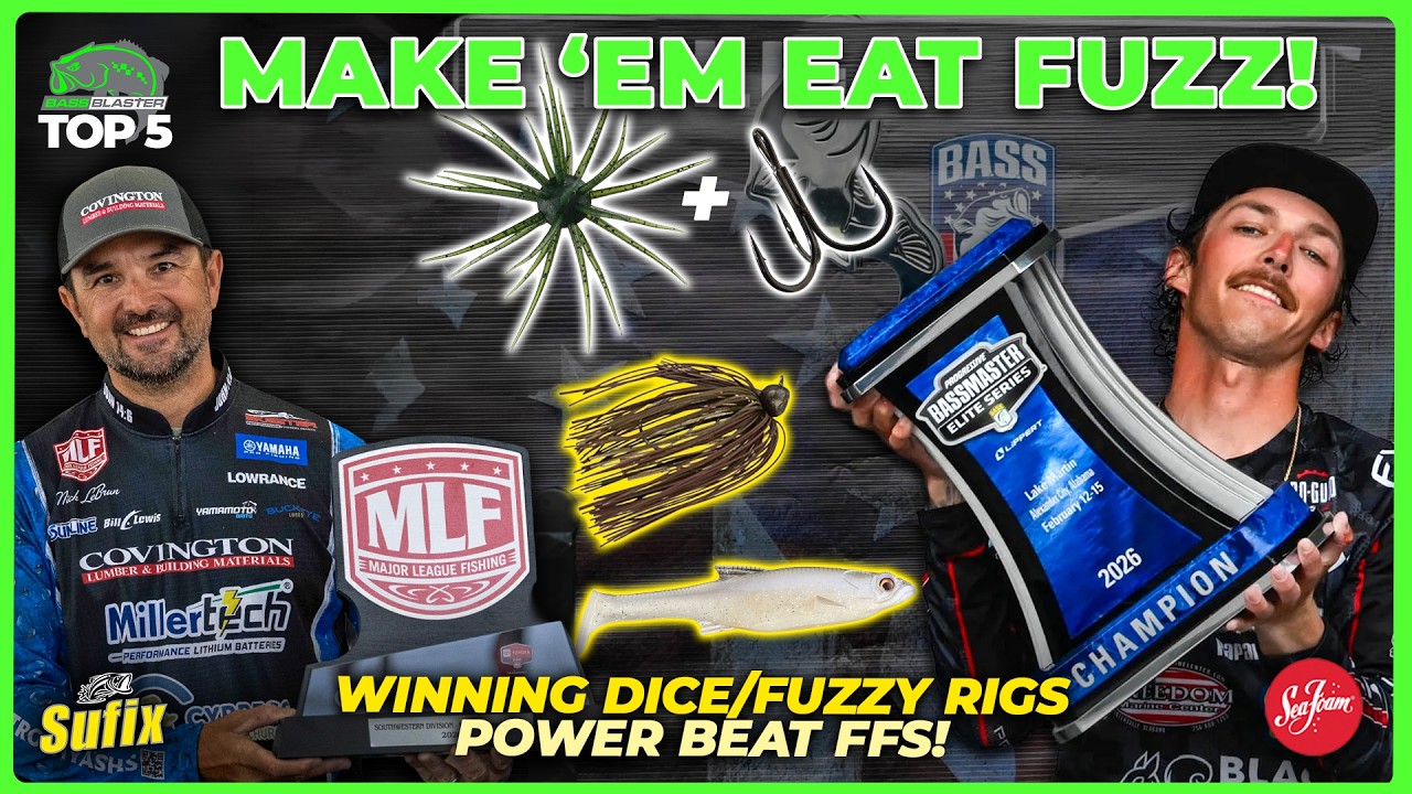 Fuzz bait winning rigs! Power beat FFS? Flip flop? Top 5 of the Week in Bass Fishing