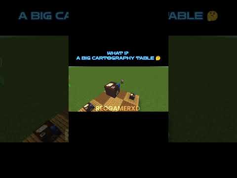 MINECRAFT ILLUSION 🫪