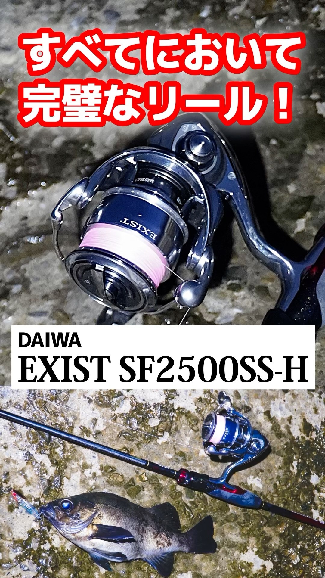 DAIWA EXIST SF 2500SS-H / A perfect reel in every respect