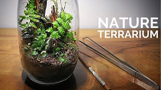 Making a closed nature terrarium || How to build an ecosystem inside a glass jar