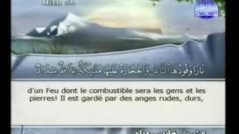 سورة التحريم 66 مكتوبة كاملة فضيلة الشيخ || فارس عباد At-Tahrim