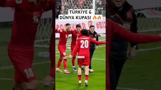 Türkiye’nin Dünya Kupası sevinci