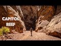 Capitol Reef National Park | Hiking Grand Wash & Cassidy Arch Trails