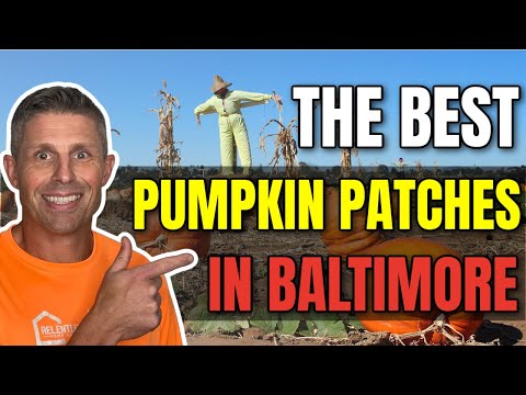 Fall Halloween Fun | Pumpkin Patches for Kids | Baltimore Maryland